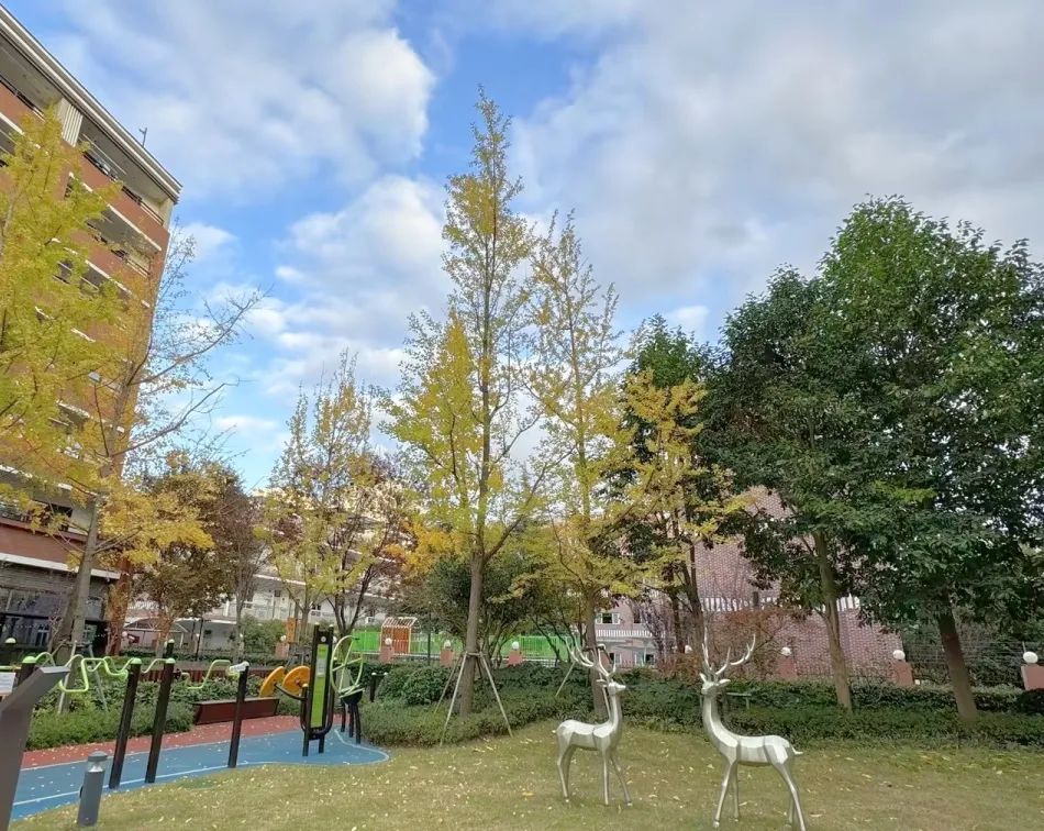 1701658061675042921.jpg 1701658061675042921.jpg