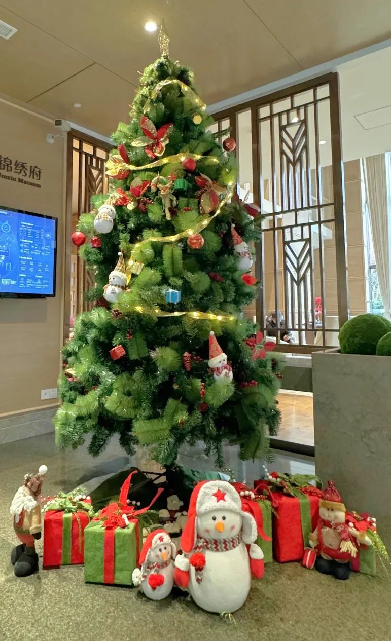 1701658203086090527.jpg 1701658203086090527.jpg