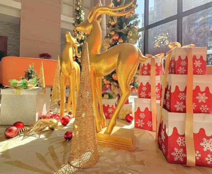 1701658221759082529.jpg 1701658221759082529.jpg