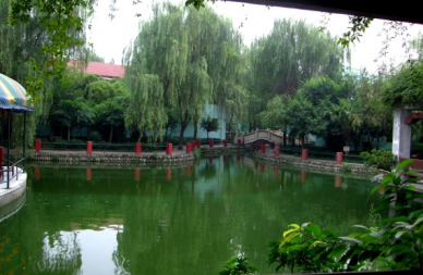 1702881729450083305.jpg 1702881729450083305.jpg