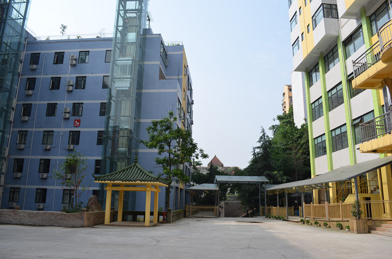 1715996447565086130.jpg 1715996447565086130.jpg